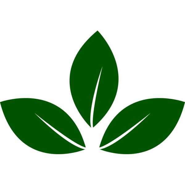 Leaves 5 Thumbnail