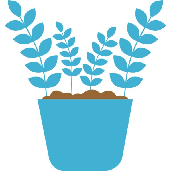 Plant 5 Thumbnail
